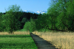 Landschaftsbild der Ökostation Straß mit Blick auf die Alpen
