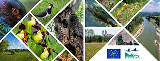 Internal link to the LIFE Living Natura 2000 project. Imagecollage
