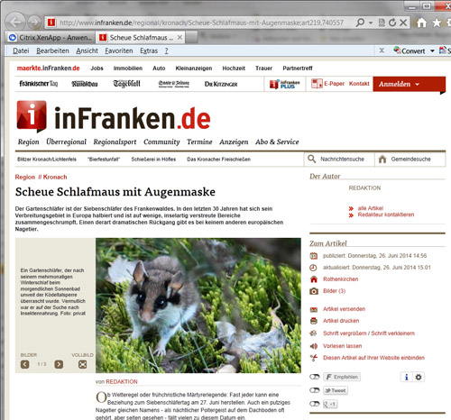 Bildschirmdruck der Online-Ausgabe der Redaktion inFranken.de mit dem Artikel mit Foto über den Gartenschläfer.