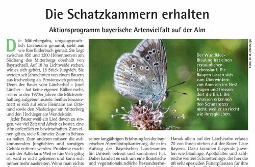Ausschnitt aus Artikel Schatzkammer Almen.