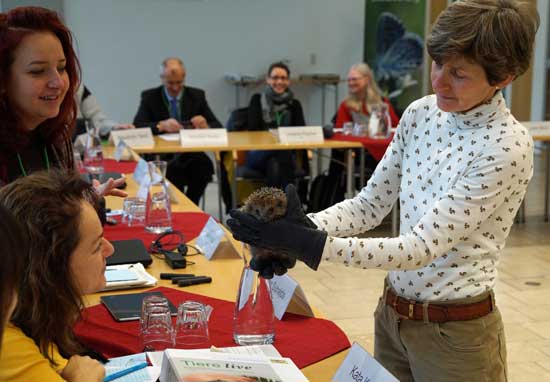 Frau Brigitte Sturm zeigt den Schülern den Igel Hedgy.