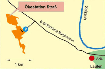 Grafik: Anfahrtshilfe nach Straß