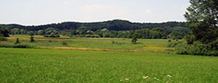 Interner Link zum Veranstaltungsrückblick Schmuckbild