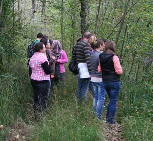 Schülerinnen und Schüler stehen im Auwald.