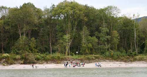 Schülerinnen und Schüler sitzen am Flussufer auf einer Sandbank.
