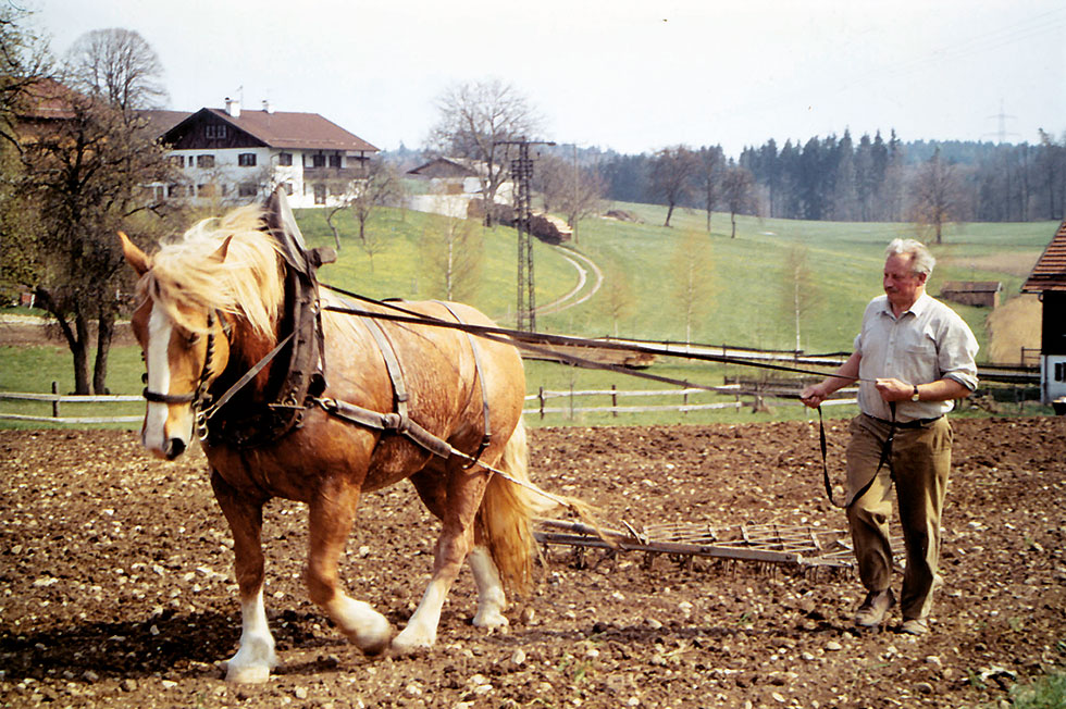 Ullrich Ammer plügt seinen Acker mit einem Pferd.