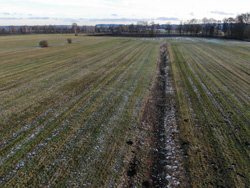  Foto einer landwirtschaftlich genutzten Fläche im Niedermoor (Foto: Nadine Gebhardt).