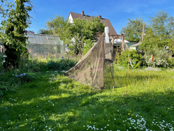 Foto einer Malaise-Falle in einem Garten (Foto: Katrin Schachtl).