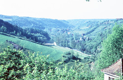 Blick ins Taubertal im Frühling 1957 (Foto: Hans-Lothar Kölling/Bildrechte: Gerburg Neumeister (CC BY-SA 4.0).