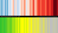 Abbildung von Temperatur und Artenvielfalt pro Jahr als blaue bis rote beziehungsweise grüne bis graue Farbstreifen.