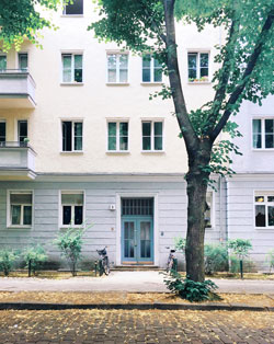 Stadtbaum auf Straße vor Hauswand (Foto: Pavel Nekoranec/unsplash).