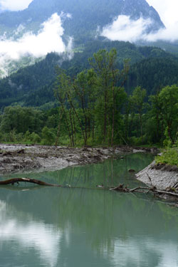 Frisch von einem starken Hochwasser durchspülter Altarm eines Flusses.