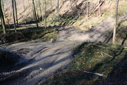 Stark zerfahrene Fahrspuren führen in einen Waldbach und verzweigen sich als Fahrtrassen in den Bachlauf, bachparallel und den Hang hinauf.