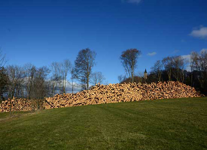 Am Rand einer Wiese liegt ein 100 m langer Holzstapel. Dahinter ein aufgelichteter Waldrand mit einzelnen Buchen.