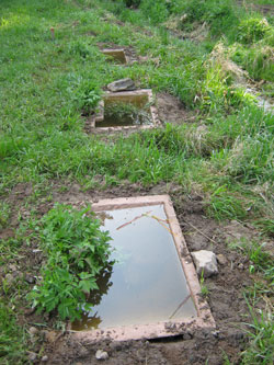 Bachnaher Wiesenbereich, in den in einer Reihe drei etwa 1 m große Betonwannen eingebaut sind.