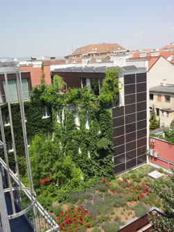 Begrüntes Hotel in der Wiener Innenstadt, im Vordergrund ein niedrigeres, bepflanztes Flachdach.