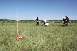 Auf einer weitläufigen Wiese stellen ehrenamtliche Naturschützer einen Litzenzaun auf, um ein mit einem Stab markiertes Nest des Großen Brachvogels vor nächtlichen Beutegreifern zu schützen. 