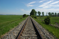 Einspurige Eisenbahnstrecke in Agrarlandschaft, mit randlich einzelnen Gehölzen.