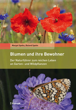 Titelbild des Buches mit oben einer Mohnblüte und unten einem Schmetterling auf einer Skabiose.
