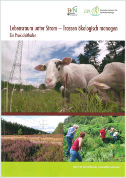 Titelbild der Broschüre „Lebensraum unter Strom“ mit 3 Bildern: Unter einer Freileitung grasende Schafe, eine Heidefläche und ein Arbeitseinsatz.