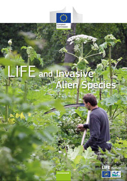 Titelbild der Broschüre mit invasiven Pflanzen.
