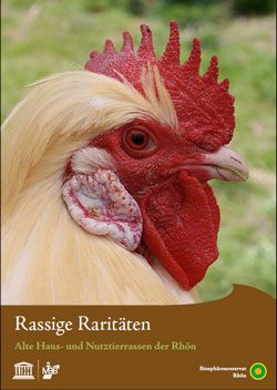 Titelbild der Broschüre mit dem Kopf eines Hahns.
