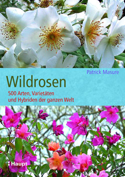 Titelbild des Buches Wildrosen