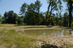 An einem Laubwald-Waldrand liegen drei nahezu runde, flache Gewässer mit klarem Wasser. Noch überwiegt offener Boden im Umfeld der frisch ange-legten Kleingewässer.