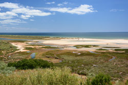 Sandstrand in Portugal mit üppigem Bewuchs im Vordergrund und Meer und Horizont im Hintergrund.