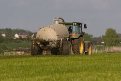 Ein Landwirt bringt auf herkömmliche Weise (Anhänger mit Spritzplatte) Gülle auf dem Grünland aus.