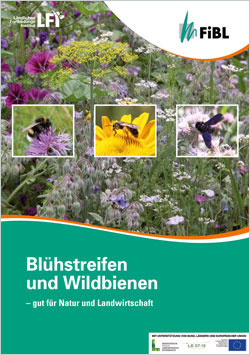 Titelbild der Broschüre Blühstreifen und Wildbienen mit einem Wiesenbild und Kleinfotos von Bienen.