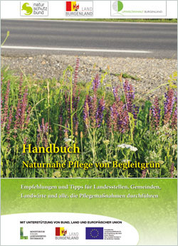 Titelbild der Broschüre mit einem blühenden Seitenstreifen einer Straße.