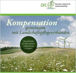 Titelseite der Broschüre „Kompensation“ mit einer blütenreichen Wiese mit Windrädern im Hintergrund.