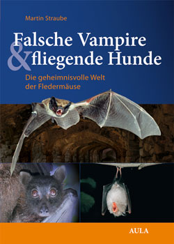 Titelbild des Buches mit drei verschieden großen Bildern von fliegenden und ruhenden Fledermäusen