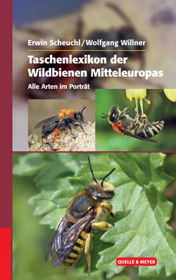 Titelbild des Buches mit drei verschieden großen Bildern von Wildbienen, die auf Blüten und Blättern sitzen.