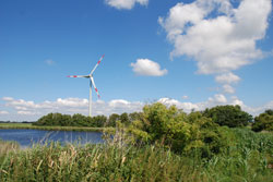 Im Vordergrund ist ein Teich zu sehen, der von einem Schilfgürtel und Hecken gesäumt ist. Im Hintergrund ist eine Windenergieanlage zu sehen.