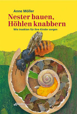 Gemaltes Titelbild des Buches, auf dem eine Biene zu sehen ist, die ihr Nest in einem Schneckenhaus im Boden angelegt und einiges darin verstaut hat.