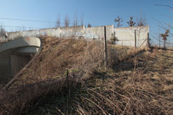 Grünbrücke über Schienenweg mit Wildschutzzaun im Vordergrund.