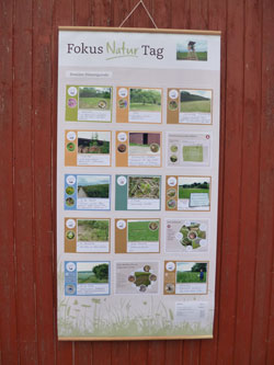 Auf einem Rollplakat sind Bilder und Texte zusammengefasst, auf denen Maßnahmen für den Naturschutz gesammelt sind. Überschrieben ist das Plakat mit Fokus Natur Tag.
