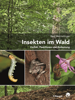: Titelbild mit drei kleinen Fotos von Insekten auf einem Waldbild als Hintergrund.