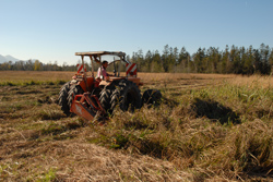 Ein Mann mäht mit einem Traktor das hohe Gras. Im Hintergrund sind Bäume und Berge zu sehen.