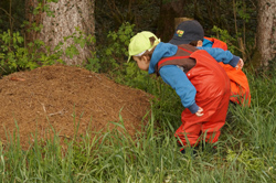 Zwei Kinder beobachten einen großen Ameisenhaufen.