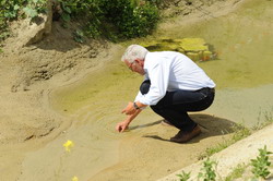 Ein Mann kniet am Rande eines künstlich angelegten Stillgewässers mit sandigem Untergrund und spärlicher Vegetation. Er sammelt Kaulquappen in eine Plastikschale.