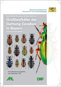 : Abgebildet sind ein großer glänzendgrüner und viele kleine Käfer, die geordnet in Reih und Glied stehen. Wichtig: Die Broschüre bedient sich optischer Bestimmungsmerkmale und ist daher leider nicht im barrierefreien Format für Blinde lieferbar. Wir bitten dies zu entschuldigen.