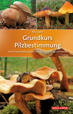 Das Titelbild ist aufgeteilt in 3 Fotos, auf denen verschiedene Pilzarten abgebildet sind.