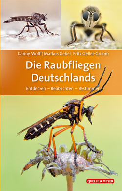 : Das Titelbild ist aufgegliedert in 3 Fotos von Raubfliegen in Großaufnahme.