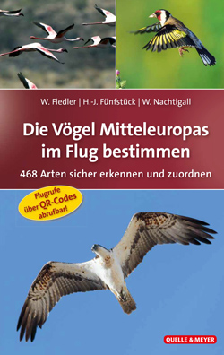 : Das Titelbild zeigt drei verschiedene Aufnahmen mit verschiedenen Vögeln im Flug.