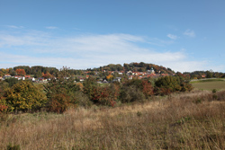 Landschaftsbild mit Hecken und Siedlung sowie Waldsaum im Hintergrund.