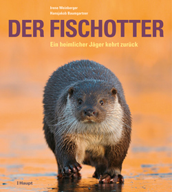 Das Titelbild zeigt einen Fischotter, der frontal auf den Betrachter zugeht.