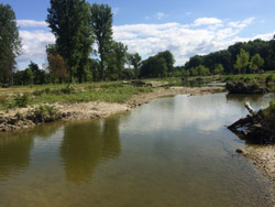  Kleines, flaches Nebengewässer der Isar mit unbefestigten Ufern, am Rand liegt Totholz.